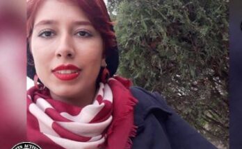 Zahra Amir Ebrahimi Sex - national security